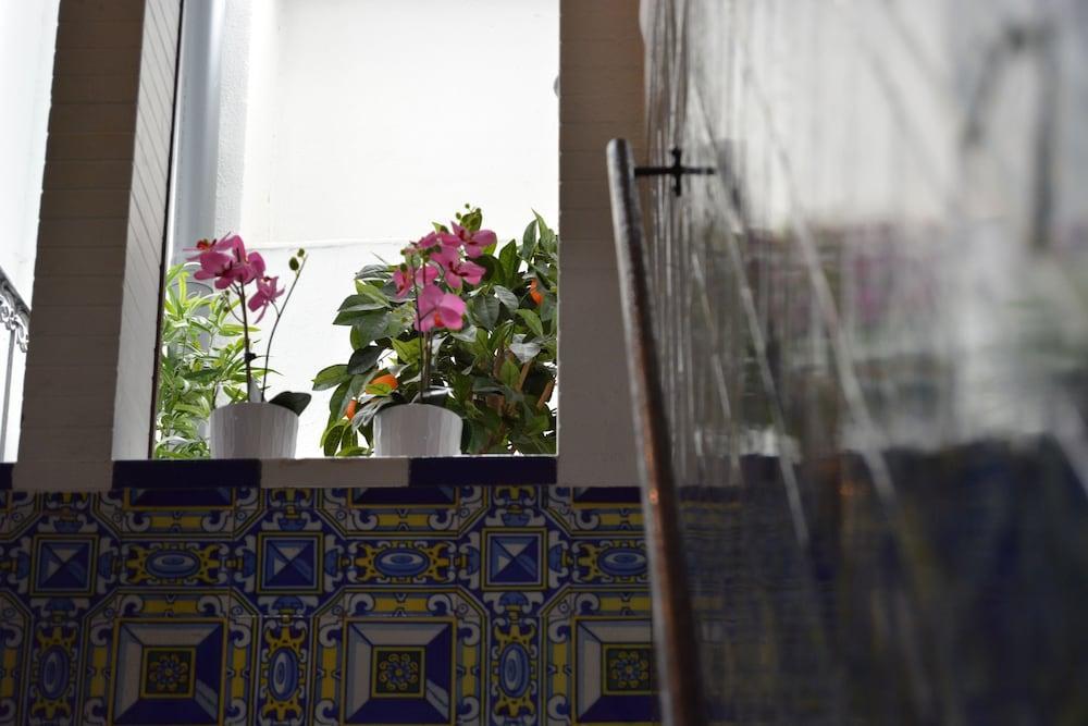 فندق بنسيون جيرالديلا إشبيلية المظهر الخارجي الصورة